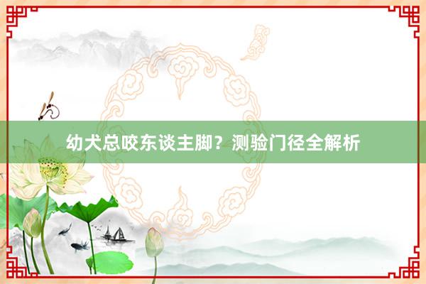 幼犬总咬东谈主脚？测验门径全解析