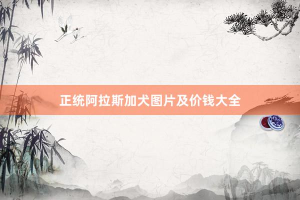 正统阿拉斯加犬图片及价钱大全